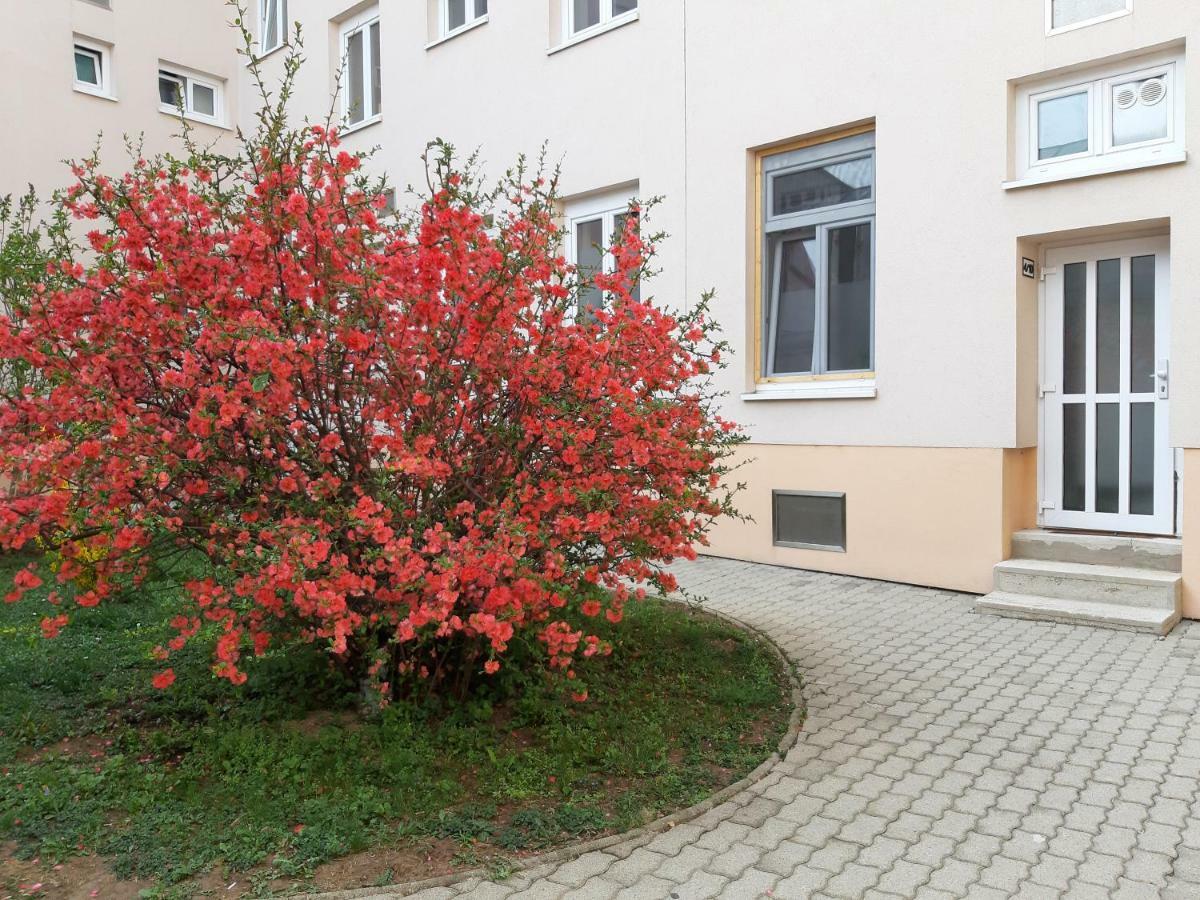 Haydnsuite Eisenstadt Zewnętrze zdjęcie